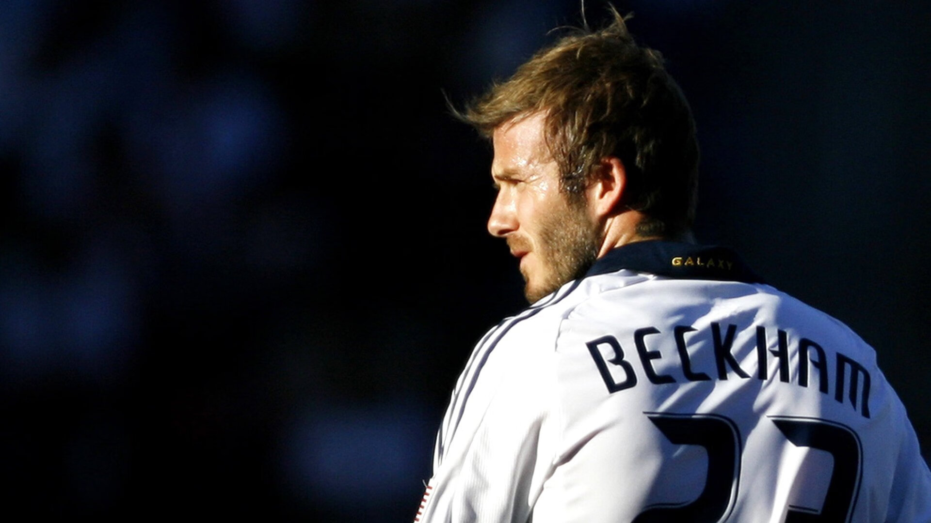 搏击赛事观赛平台推出战术拆解小程序,搏击比赛视频合集