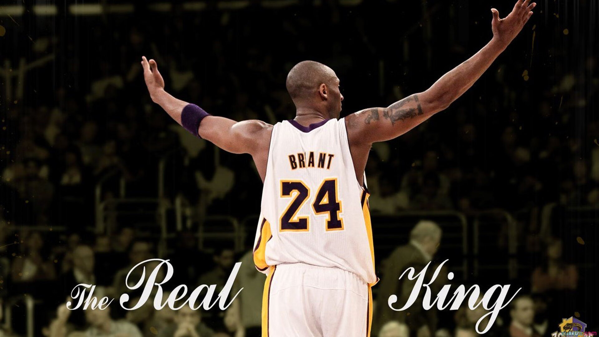 体育新闻中心深化体育赛事数字版权保护联盟合作，体育赛事信息